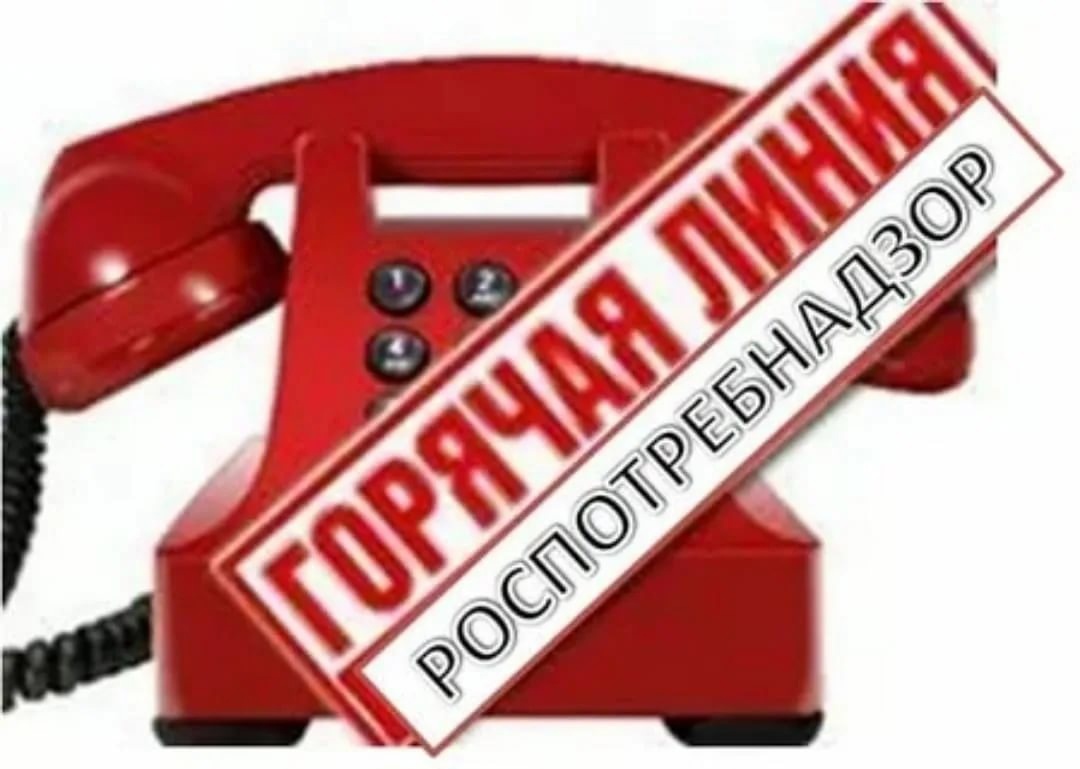 Стартует «горячая линия» по вопросам организации питания в школах.